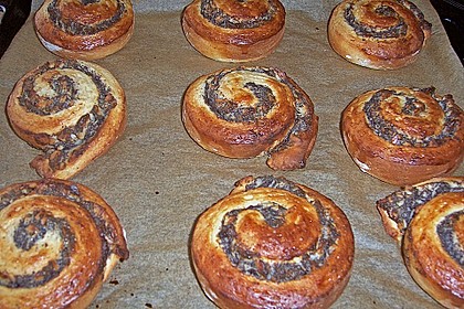 Mohnschnecken 10