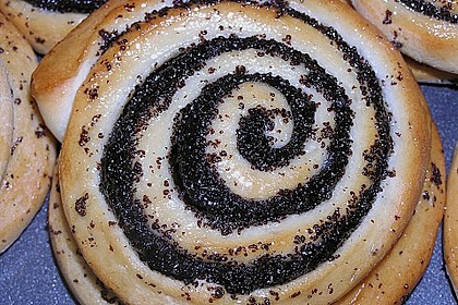 Mohnschnecken 11
