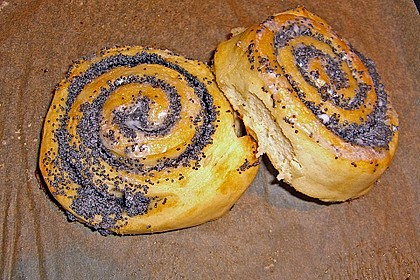 Mohnschnecken 1