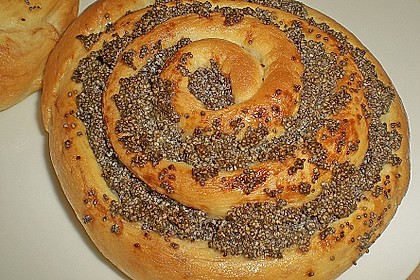 Mohnschnecken 13