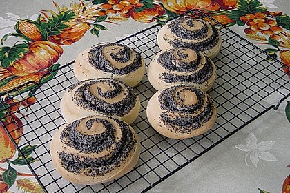 Mohnschnecken 17