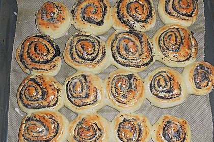 Mohnschnecken 20