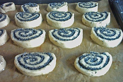 Mohnschnecken 5