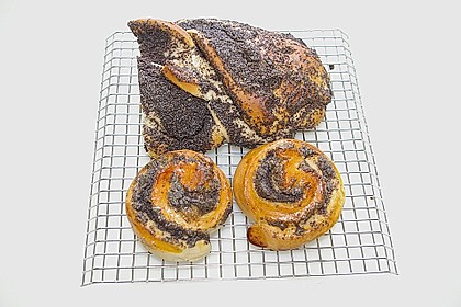 Mohnschnecken 27