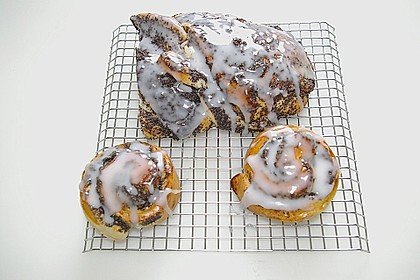 Mohnschnecken 28