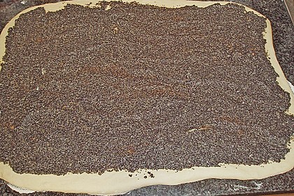 Mohnschnecken 8