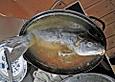 Gefillte Fisch