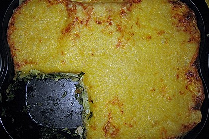 Spinat - Lachs - Lasagne 7