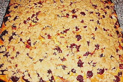 Quark - Streuselkuchen 6