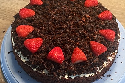Maulwurfkuchen mit Erdbeeren 5