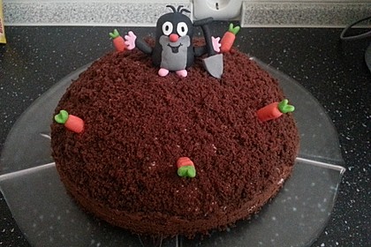 Maulwurfkuchen mit Erdbeeren 2
