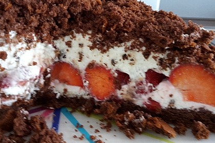 Maulwurfkuchen mit Erdbeeren 10