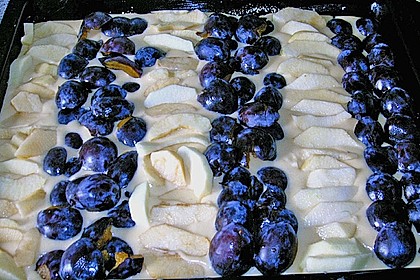 Apfel - Pflaumenkuchen