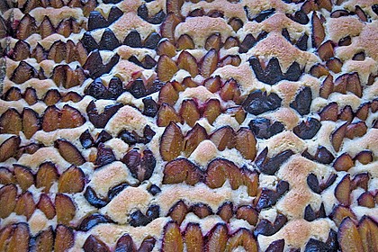Apfel - Pflaumenkuchen 3