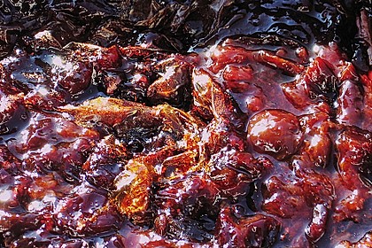 Pflaumenmus 2