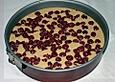 Dinkelkirschkuchen