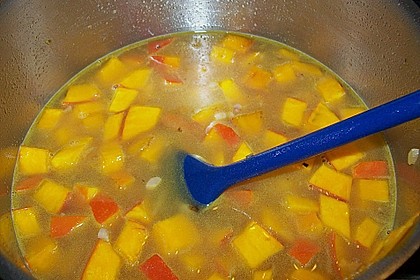 K&uuml;rbissuppe aus Mexico 8