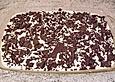 Orangen - Tiramisu