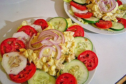 Amerikanischer Thunfischsalat 4