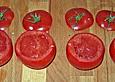 Gef&uuml;llte Tomaten