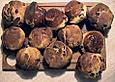 Fr&uuml;chtebrot - Muffins