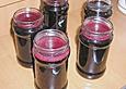 Holunder - Rotwein - Gelee