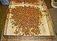 Fress - mich - dumm - Kuchen