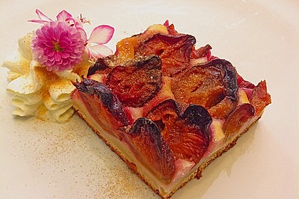 Pflaumenkuchen 12
