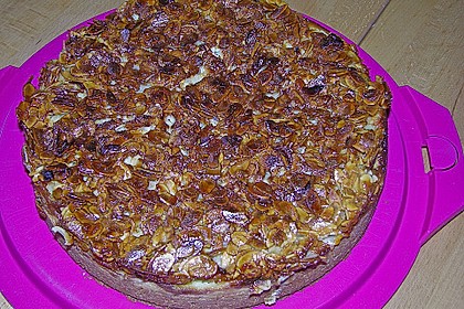 Apfel - Bienenstich -Torte 15