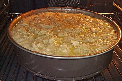 Apfel - Bienenstich -Torte 18