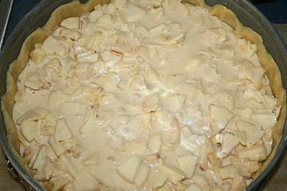 Apfel - Bienenstich -Torte 19