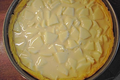 Apfel - Bienenstich -Torte 22