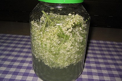 Hochprozentige Holunderblüten 7