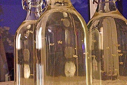Hochprozentige Holunderblüten 8