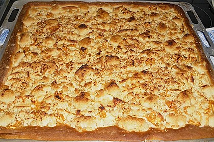 Apfelkuchen vom Blech 6