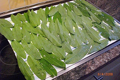 Bärlauch - Pesto 23