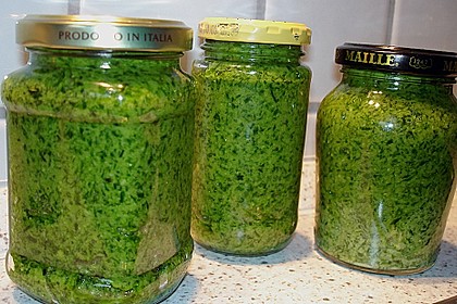 Bärlauch - Pesto 5