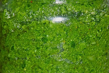 Bärlauch - Pesto 13