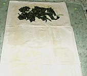 Lachsgeheimnis (Bild)