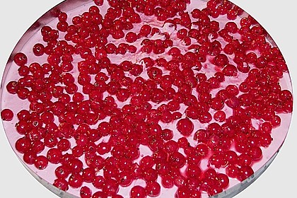 Johannisbeertorte 1