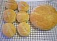 Hefe - Dinkel - Vollkornbr&ouml;tchen