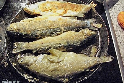 Gem&uuml;serisotto mit Fisch 1
