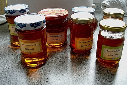 Löwenzahnhonig 10