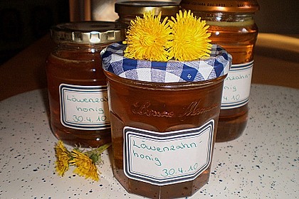 Löwenzahnhonig 6