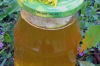 Löwenzahnhonig 24