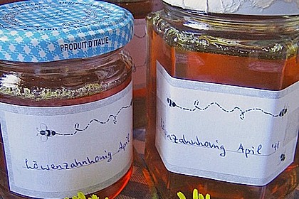 Löwenzahnhonig 15