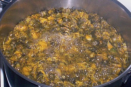 Löwenzahnhonig 13