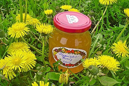 Löwenzahnhonig 1