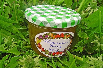 Löwenzahnhonig 19