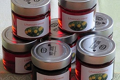 Löwenzahnhonig 8
